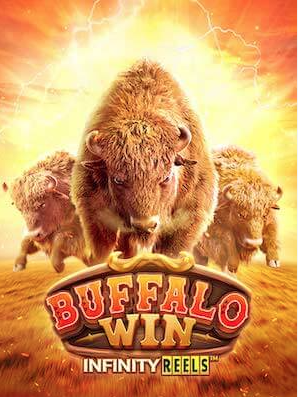 Slot Luar Negeri Buffalo Win